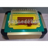 科技展品隨著時(shí)代發(fā)展